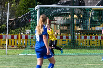 Bild 202 - B-Juniorinnen SV Henstedt Ulzburg - FSC Kaltenkirchen : Ergebnis: 3:2